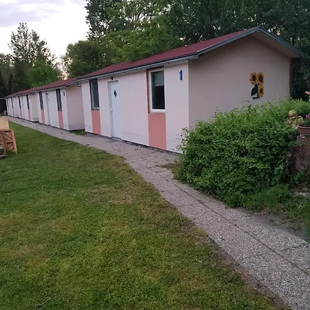 Napraforgo